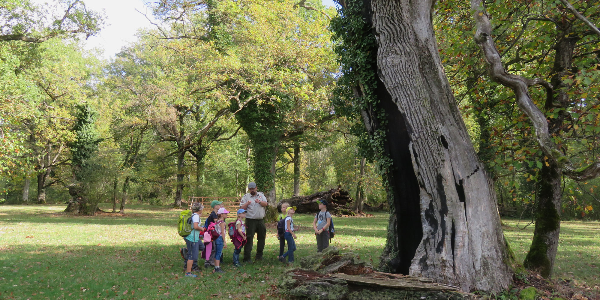Bei der verbrannten Eiche
