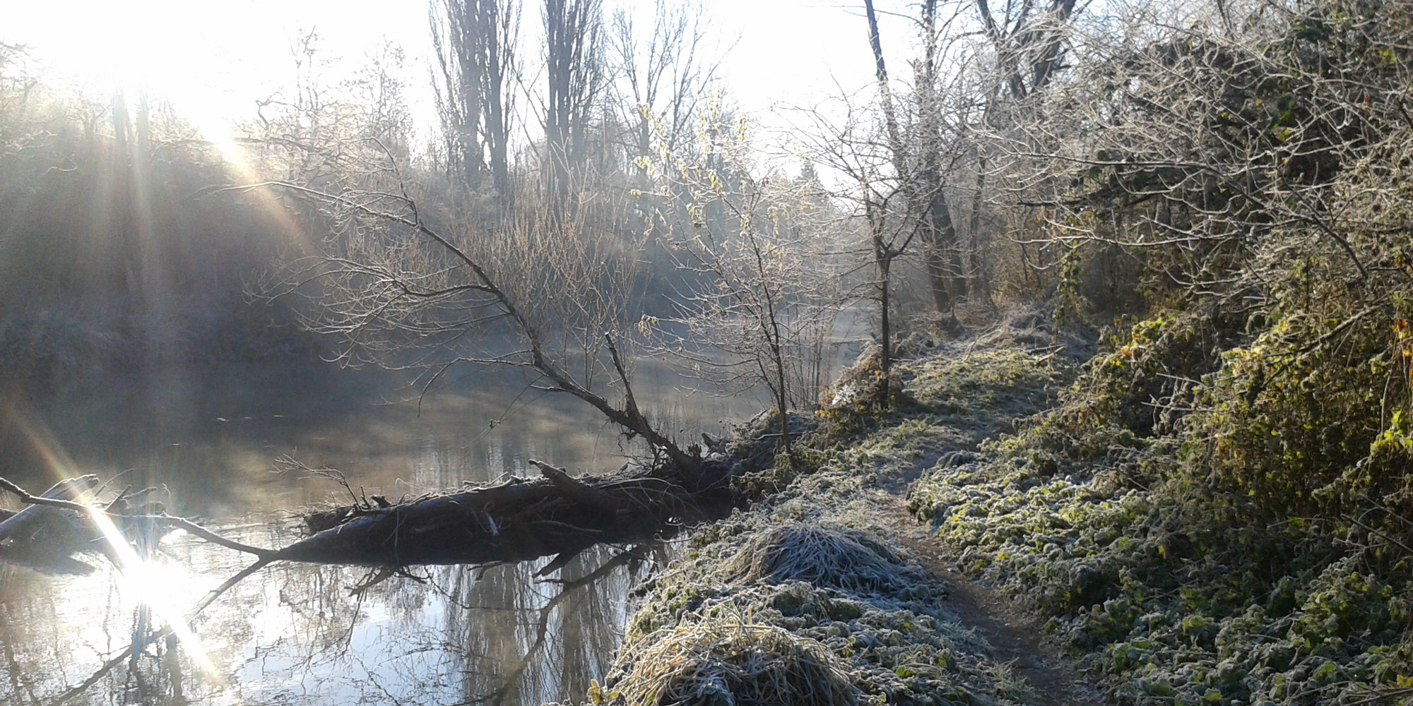 Kalter Wintermorgen an der Birs