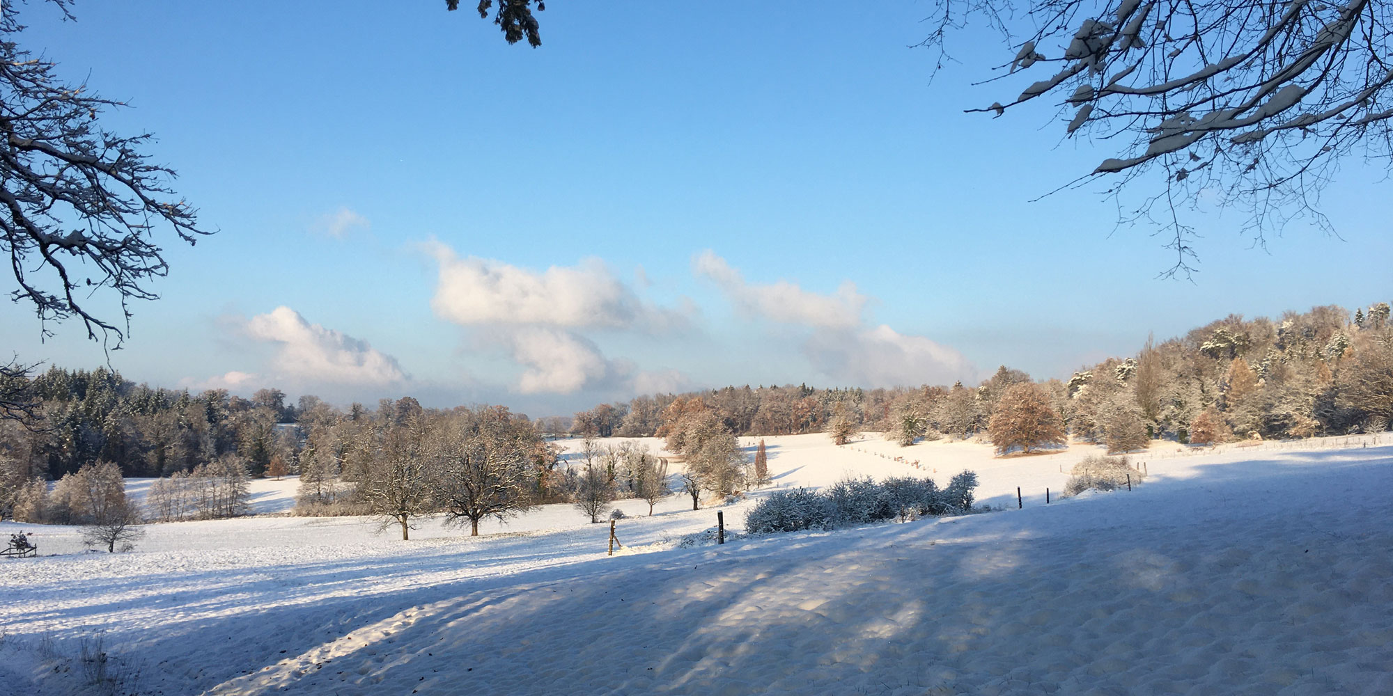 Wildenstein Landschaft
