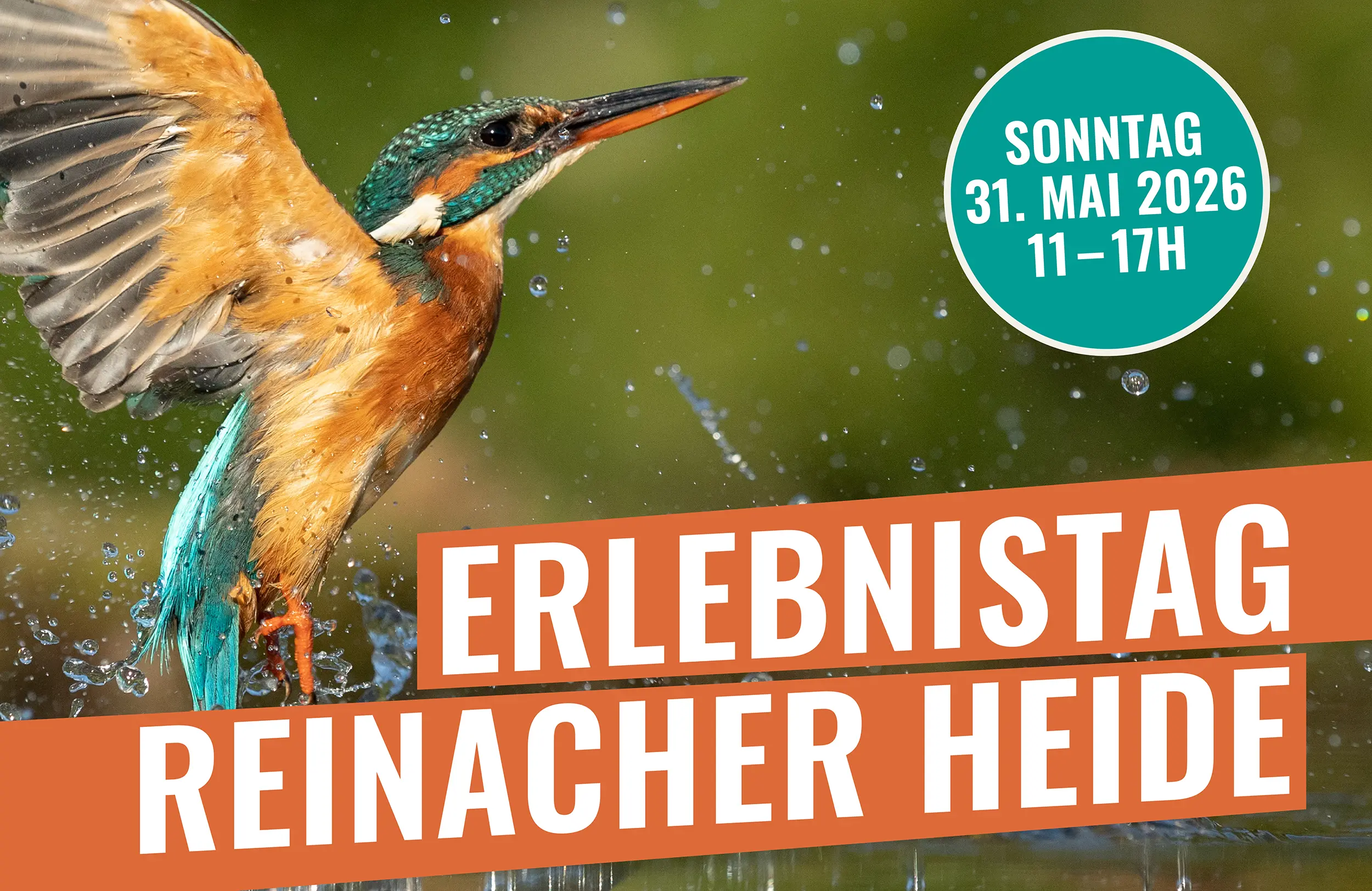 Erlebnistag Reinacher Heide, 31. Mai 2026